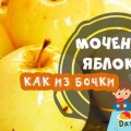 Ябълки mypides в кофа за зимата - прости рецепти