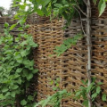Ограда от лоза - инструкции стъпка по стъпка как да тъкат красива и издръжлива ограда със собствените си ръце (145 снимки + видео)