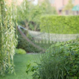 Декоративна трева: 90 снимки на красиви приложения на декоративни растения в ландшафтен дизайн