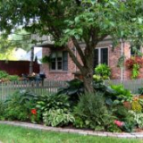 Как да направите цветна леха около дърво - стъпка по стъпка ръковод...