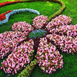 Красиви цветни лехи в страната със собствените си ръце