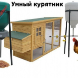 Направи си сам подреждане на кокошарник - инструкции стъпка по стъпка