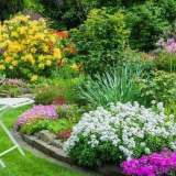 Характеристики на създаването на красиви цветни лехи на сайта