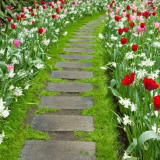 Озеленяване на двор: 155 снимки и видео описание как да озелените обект