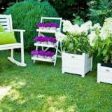 Парцел 6 акра: правила и дизайнерски функции. Тайните и чиповете на дизайнерите (135 снимки и видео)