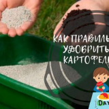 Картофени торове при кацане в кладенеца