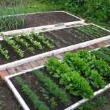 Интелигентна градина или легла за мързеливи летни жители: домашно, видео