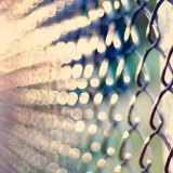 Ограда от решетката на предизвикателството със собствените си ръце - изграждане, монтаж и грижа за оградата (120 снимки + видео)