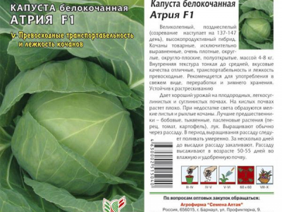 Най-добрите сортове зеле за 2022 г.: вкусно и плодотворно за различни региони