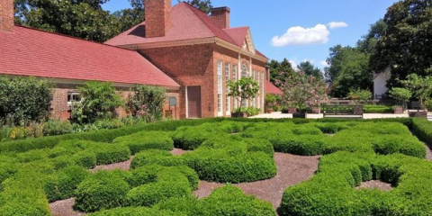 Какво е цветно легло, видове цветни лехи в ландшафтен дизайн с имена