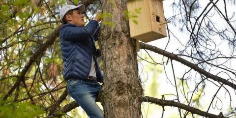 Пейнтър със собствените си ръце