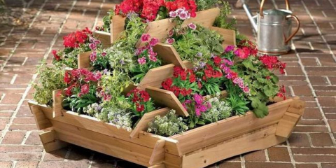 Декоративни растения: 125 снимки на най-добрите видове растения и тяхното отглеждане в ландшафтен дизайн