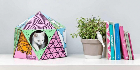 Направете къща за котка, направете го сам: изборът на материали и стъпка по стъпка главни класове