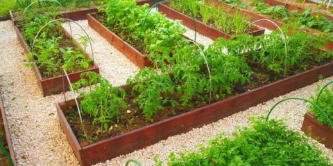 Кучетата го правят сами - сортове легла, избора на кутия кутия, майстор клас по създаване със собствени ръце + практически съвети на градинарите