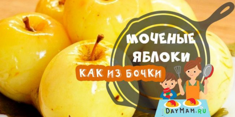 Ябълки mypides в кофа за зимата - прости рецепти