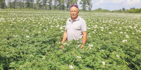Ефективни плевели - преглед на най-добрите средства и методи за премахване на плевелите. Геотекстил и правила за полагане (145 снимки и видео)