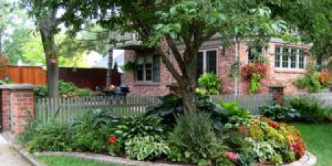 Как да направите цветна леха около дърво - стъпка по стъпка ръководство