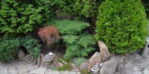 Цветна леха с иглолистни дървета: схема на засаждане, дизайн на цветна леха