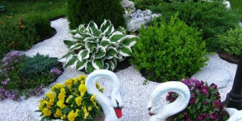 Цветя в страната