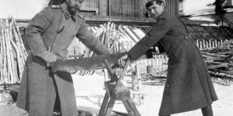 Направи си сам кози за рязане на дърва за огрев