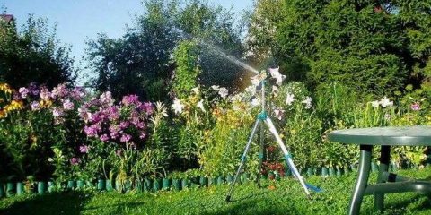 Помпа за поливане на градината: изберете най-добрия вариант