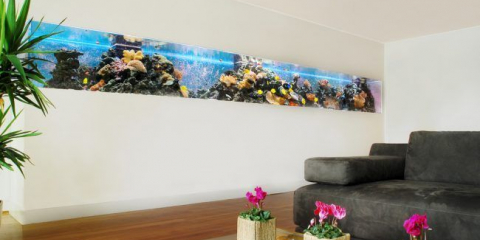Създаване на аквариум със собствените си ръце: акваскейпиране от основите до добре обмислена екосистема