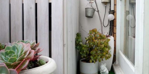 Балкон подстригване вътре: избор на материали, оригинални идеи + снимка