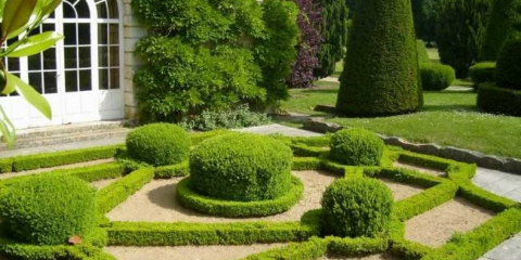 Озеленяване на сайта - описание на опциите за дизайн и стилни дизайнерски идеи за парцели (135 снимки)