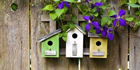 Градински декор - 120 снимки на най-добрия дизайн и интересни идеи за декориране на градината