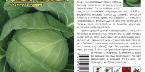Най-добрите сортове зеле за 2022 г.: вкусно и плодотворно за различни региони