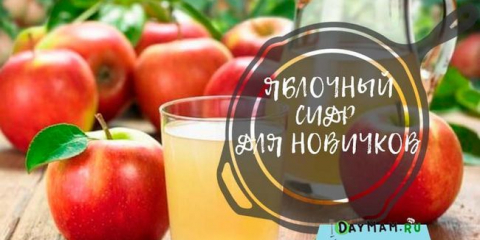 Ябълков сайдер у дома - прости рецепти стъпка по стъпка