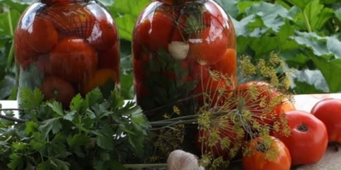 Солени домати: 10 вкусни и лесни рецепти за зимата