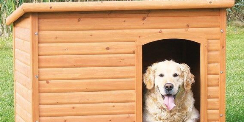 Изграждане на уютна кучешка къщичка с ryobi