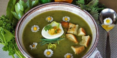 Супа от коприва: 7 пролетни рецепти за супа от коприва