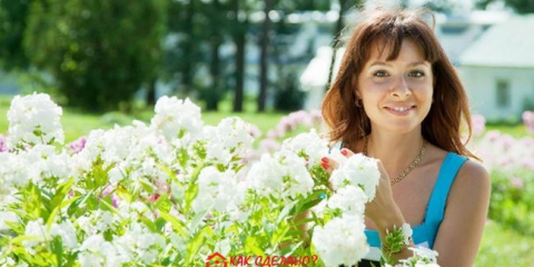 Всичко за флокси: избор на сортове + правила за отглеждане