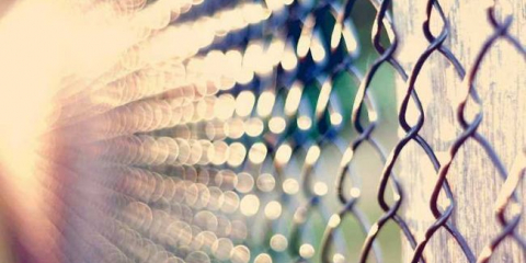 Ограда от решетката на предизвикателството със собствените си ръце - изграждане, монтаж и грижа за оградата (120 снимки + видео)