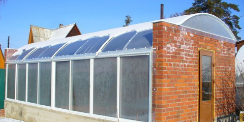 Зимна оранжерия - характеристики на строителството, подреждане и експлоатация, култивирани растения