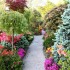 Красиви цветни лехи от многогодишни цветя: готови схеми